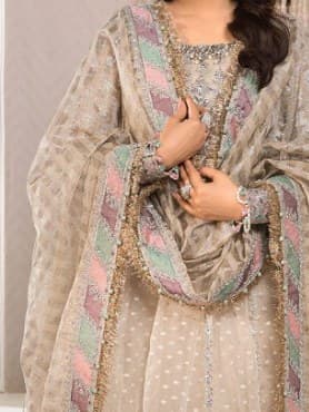 Alizeh Sand Embroidered Party Dress thumbnail 2
