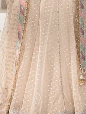 Alizeh Sand Embroidered Party Dress thumbnail 3
